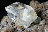 Plate of HUGE Herkimer Diamonds on Sparkling, Druzy Quartz #175393-6